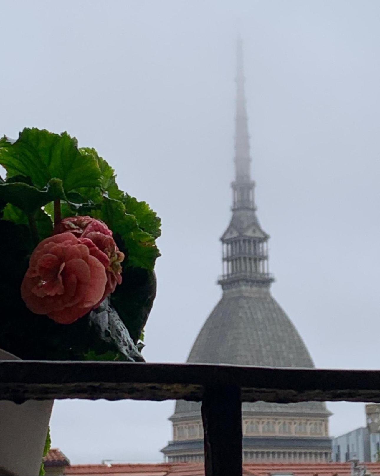 Le Finestre Sulla Mole Apartment Торино Екстериор снимка